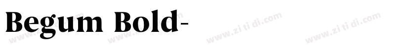Begum Bold字体转换